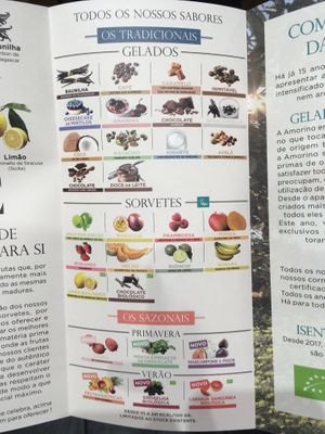 All types at Amorino - Carmelitas in Porto