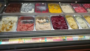 These are all Vegan flavors at Amorino - Carmelitas in Porto