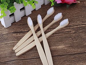 Cuidado y belleza veganos, así como productos para el cuidado del hogar. at Aguasanta Veggie in Vitacura