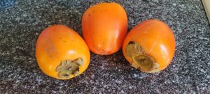  at Öpfelbaum Bioladen in Uster