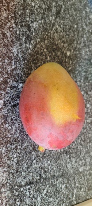  at Öpfelbaum Bioladen in Uster