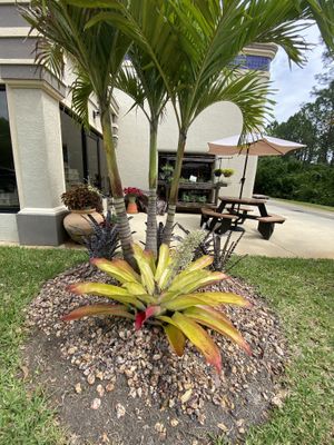 Outside   at Love Whole Foods in Ormond Beach