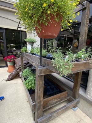   at Love Whole Foods in Ormond Beach