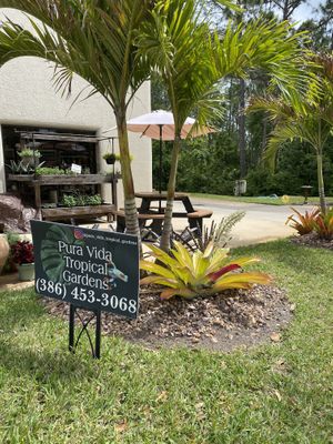   at Love Whole Foods in Ormond Beach