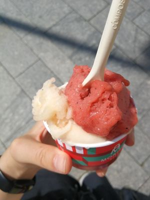 Grapefruit und Erdbeer-Minze-Mohn at Moritz Eis in Cluj-napoca