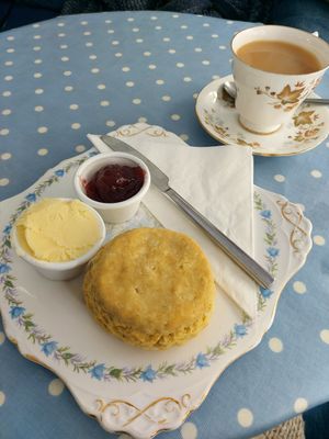  at Cafe Cloud in Newquay