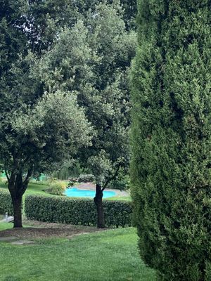 Bio piscina  at Il Cerreto in Pomarance