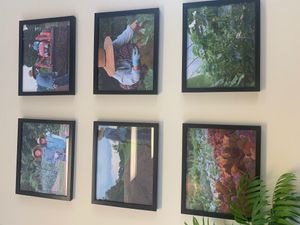 Pics from their farm!  at HJ Farm/Hajun Farm in Suwanee