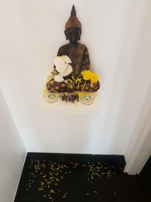 interior  at M Butterfly by Miss Saigon in Lisbon