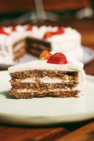 Raw Sponge cake at Elixir in Ubud