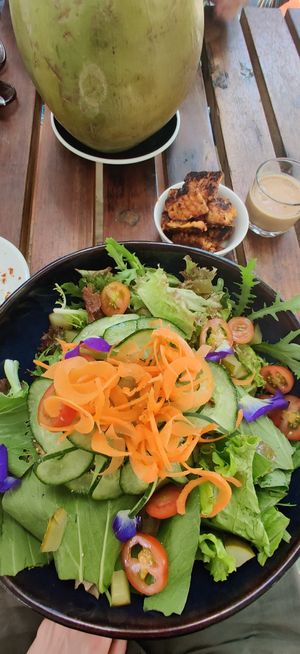 Made salad with side of BBQ tempeh at Elixir in Ubud