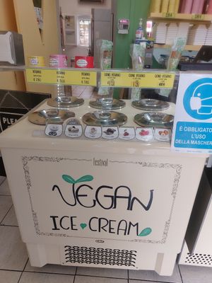 Vegan ice cream variety at Bagni Di Nerone in Pisa