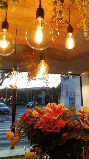 beautiful place to share healthy vegan food without animal ingredients with friends or family. Also is take-away and a cooking workshop! at theVeggielab in Colmenar Viejo