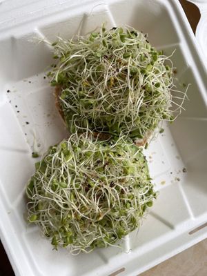 The works without bacon  at The Sprout Kitchen in St Augustine