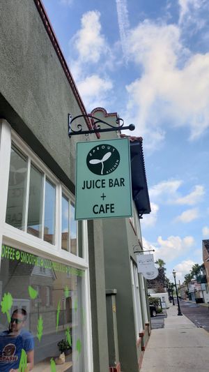 Sprouts! at The Sprout Kitchen in St Augustine