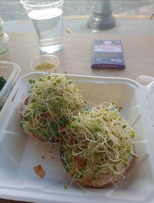 Bagels and sprouts  at The Sprout Kitchen in St Augustine