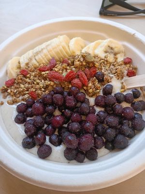 Probiotic Bowl at The Sprout Kitchen in St Augustine