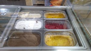 Amazing ice cream at Elysian Delights - Ethigreenz in Gurugram
