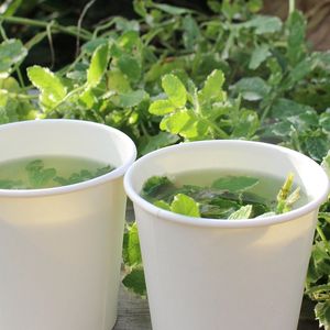 Verse muntthee to go at Rotterdamse Munt in Rotterdam