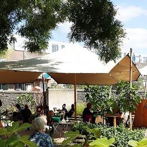 Buitenlokaal at Rotterdamse Munt in Rotterdam