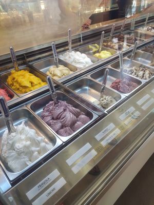 14 different vegan kinds of ice cream at Il Gelataio Filippo in Cecina