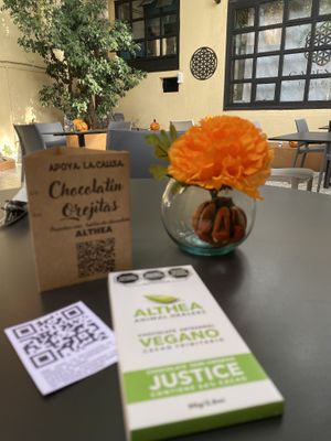   at VegCo Restaurante Vegano in Queretaro