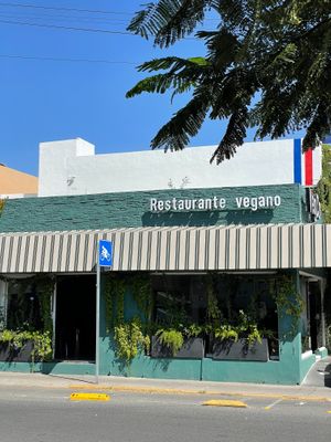  at VegCo Restaurante Vegano in Queretaro
