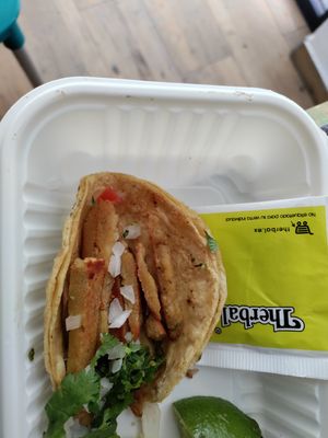 Taco barely larger than a teabag at VegCo Restaurante Vegano in Queretaro