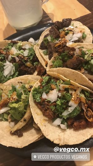 Tacos 🤩 at VegCo Restaurante Vegano in Queretaro