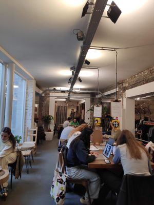 From inside at Alley Cat in Maastricht