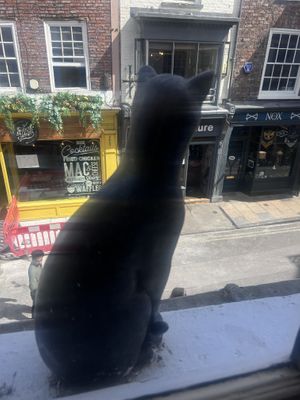   at Goji Vegetarian Cafe and Deli in York