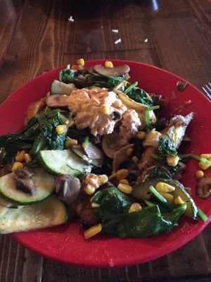 Vegan bowl with vegan aioli  at Coyote Kitchen in Boone