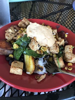 Nomad vegan bowl- delicious!! at Coyote Kitchen in Boone