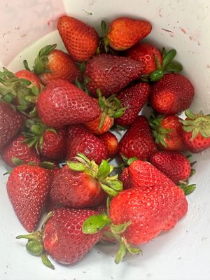 Organic strawberries for smoothies, pies, scones, cakes, and dipping into warm chocolate💕 at Claire's Corner Copia in New Haven
