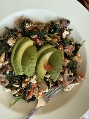   at Claire's Corner Copia in New Haven