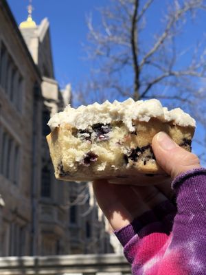 Blueberry lemon coconut cake at Claire's Corner Copia in New Haven