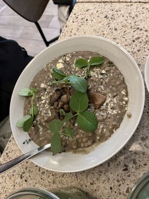 Svampe bygotto  at GRØD in Kongens Lyngby