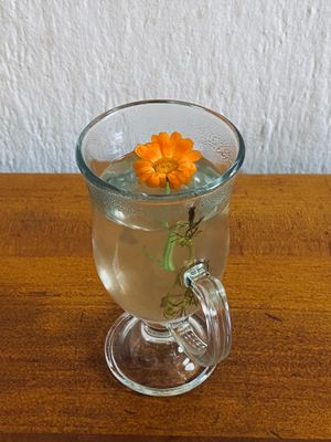 Tea at Quinua y Amaranto in Bogota