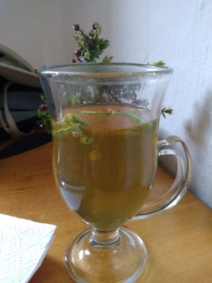 Herbal tea with moringa at Quinua y Amaranto in Bogota