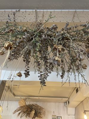   at Pacífico in Ourense