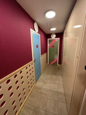 Spiritual colours on the way to the loos   at Kasvisravintola Brindavan & Bhajan Cafe in Helsinki