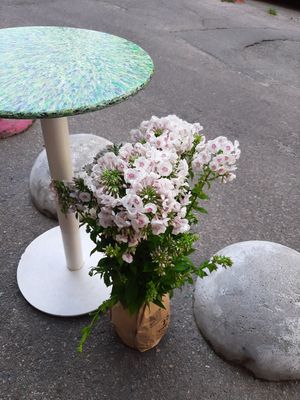  at Green 13 - Lvivska Square in Kyiv