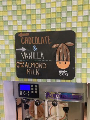 Selection  at Froyo Earth in Chelan