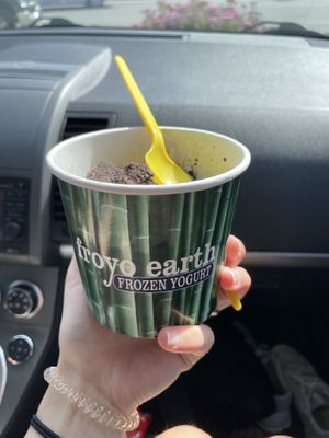   at Froyo Earth in Chelan