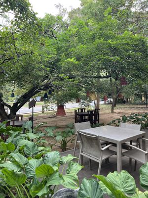 They also gave outdoor seating!  #Veganuary at Good Market in Colombo