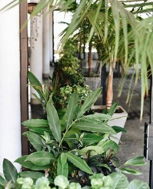 Community space at Good Market Reid Avenue at Good Market in Colombo