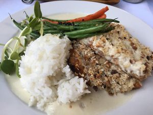 Coconut Mac Nut w/Tofu  - Served with local veg, rice, coconut cream sauce at Russell's by Eat Healthy Kauai in Wailua