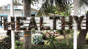 Super cute entrance with succulents everywhere!  at Russell's by Eat Healthy Kauai in Wailua