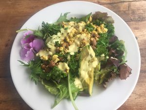 Tofu scramble with pinto beans, kale, avocado and hollandaise at Russell's by Eat Healthy Kauai in Wailua