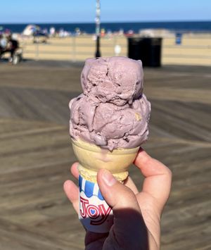 Raspberry chip cone  at Eddie Confetti's Ice Cream in Asbury Park